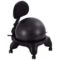 Aeromat Adjustable Fit Ball Chair