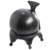 Aeromat Stability Ball Chair