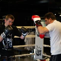 Ringside Coach Spar Boxing 14 Oz Punch Mitts