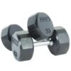 Troy Premium TSDR Rubber Encased Dumbbell Pairs 3 - 100 Lbs