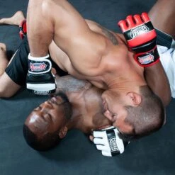 Combat Sports Traditional MMA Fight Gloves -Boxing Sale fg16 add2 v1