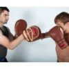 Ringside Heritage Panther Punch Mitts -Boxing Sale hppm add7 v2