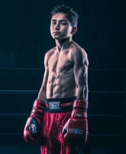 Ringside IMF Tech™ Pro Fight Gloves -Boxing Sale imfpfg 6 v1