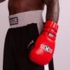 Ringside IMF Tech™ Pro Fight Gloves -Boxing Sale imgpfg add4 v1