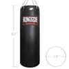 Ringside Soft Filled Powerhide 65 Lb. Heavy Bag -Boxing Sale pchb v3