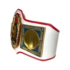 Championship Belt #5 Brass Plate