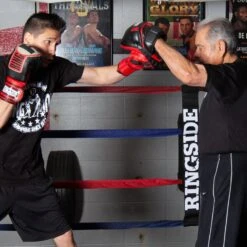 Ringside Pro Panther Punch Mitts -Boxing Sale proppm add2 v2