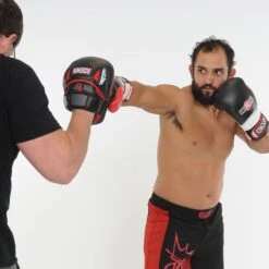 Ringside Pro Panther Punch Mitts