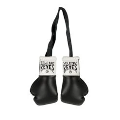 Cleto Reyes Mini Boxing Gloves -Boxing Sale remini 1 v2