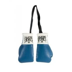 Cleto Reyes Mini Boxing Gloves -Boxing Sale remini 2 v2