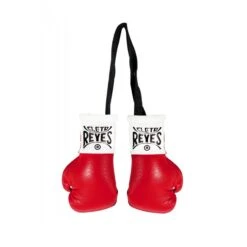Cleto Reyes Mini Boxing Gloves -Boxing Sale remini 4 v2