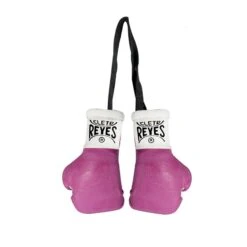 Cleto Reyes Mini Boxing Gloves