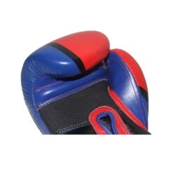Ringside Omega Sparring Gloves -Boxing Sale rp5 add3 v2