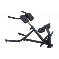 SportsArt A993 Back Hyperextension