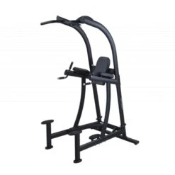 SportsArt VKR CHIN DIP STATION