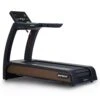 SportsArt N685 Verde Treadmill