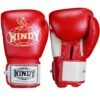 Windy Thai Training Gloves